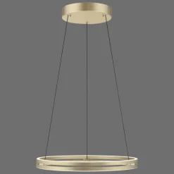 Lampes Dorées-Luminaires Paul Neuhaus Suspension Paul-Neuhaus PURE E-LOOP LED Or, 2 lumières, Télécommandes