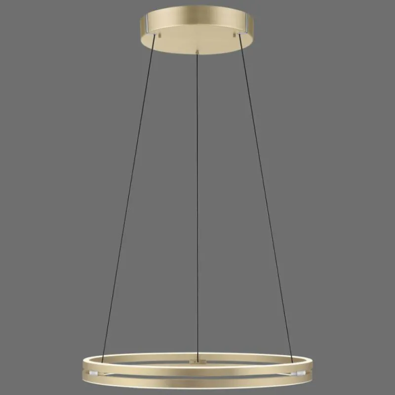 Lampes Dorées-Luminaires Paul Neuhaus Suspension Paul-Neuhaus PURE E-LOOP LED Or, 2 lumières, Télécommandes