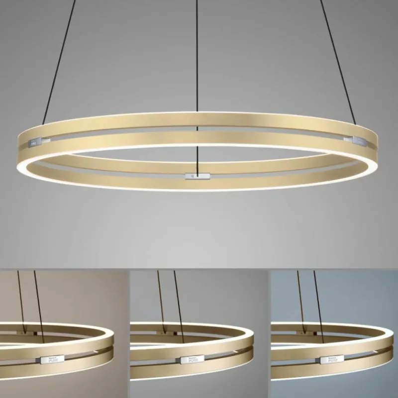 Lampes Dorées-Luminaires Paul Neuhaus Suspension Paul-Neuhaus PURE E-LOOP LED Or, 2 lumières, Télécommandes