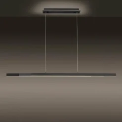 Paul Neuhaus Q-Serie Suspension Paul-Neuhaus Q-ARIAN LED Anthracite, 4 lumières, Télécommandes