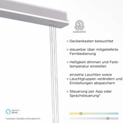 Paul Neuhaus Q-Serie Suspension Paul-Neuhaus Q-ETIENNE LED Acier brossé, 3 lumières, Télécommandes