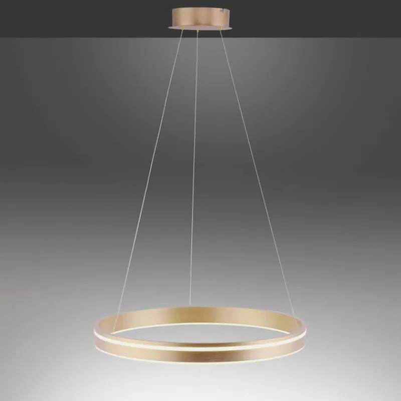 Paul Neuhaus Q-Serie Suspension Paul-Neuhaus Q-VITO LED Laiton, Télécommandes