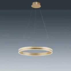 Paul Neuhaus Q-Serie Suspension Paul-Neuhaus Q-VITO LED Laiton, Télécommandes