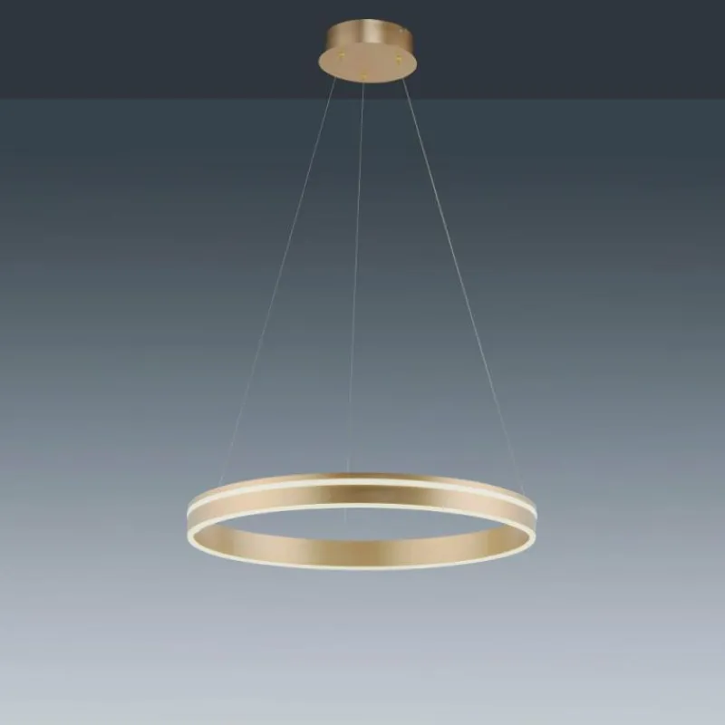 Paul Neuhaus Q-Serie Suspension Paul-Neuhaus Q-VITO LED Laiton, Télécommandes