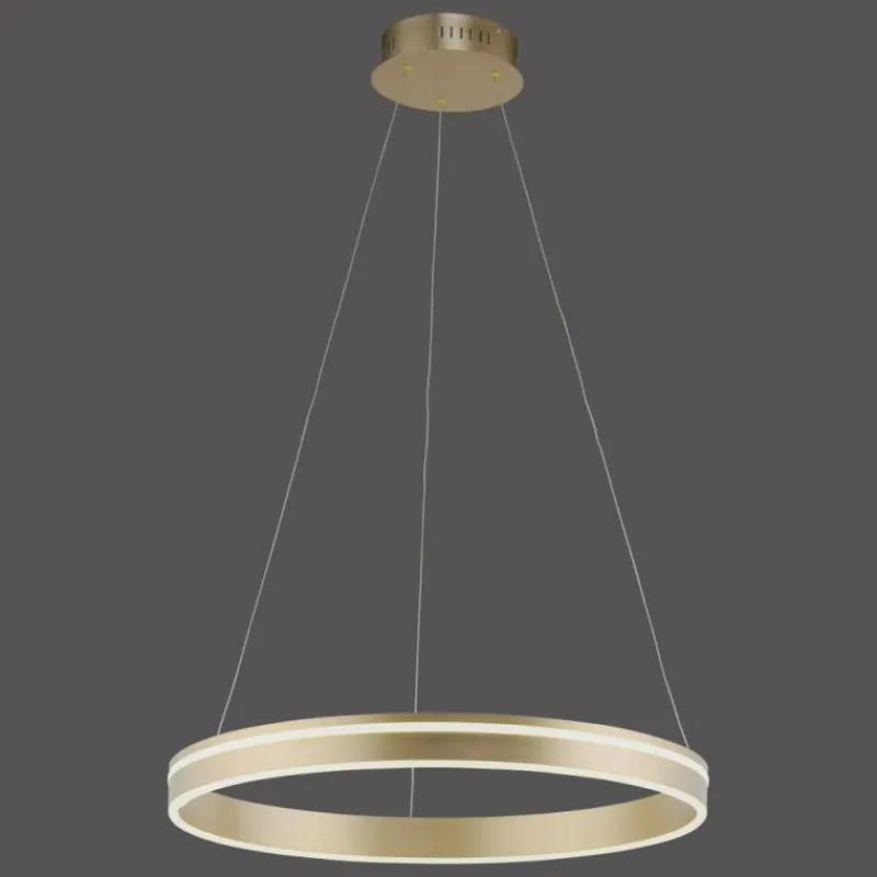 Paul Neuhaus Q-Serie Suspension Paul-Neuhaus Q-VITO LED Laiton, Télécommandes