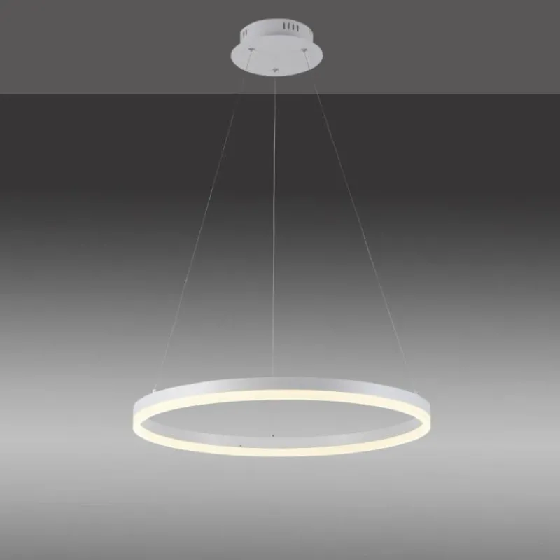 Luminaires Paul Neuhaus Suspension Paul-Neuhaus TITUS LED Blanc, 1 lumière* Éclairage Led