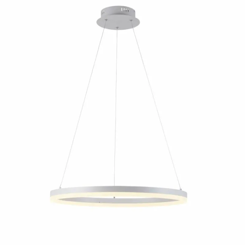 Luminaires Paul Neuhaus Suspension Paul-Neuhaus TITUS LED Blanc, 1 lumière* Éclairage Led