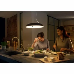 Luminaires Philips Suspension Philips Hue Ambiance White Amaze LED Noir, 1 lumière, Télécommandes