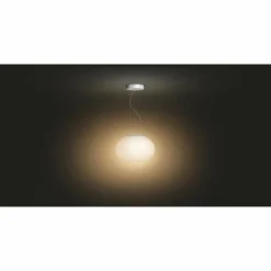 Luminaires Philips Suspension Philips Hue Ambiance White & Color Flourish LED Blanc, 1 lumière, Changeur de couleurs