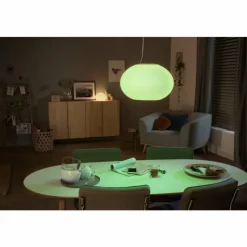 Luminaires Philips Suspension Philips Hue Ambiance White & Color Flourish LED Blanc, 1 lumière, Changeur de couleurs
