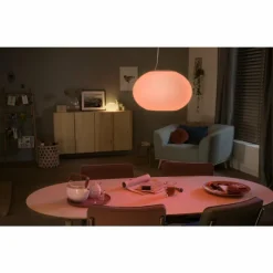 Luminaires Philips Suspension Philips Hue Ambiance White & Color Flourish LED Blanc, 1 lumière, Changeur de couleurs