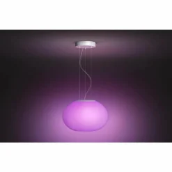 Luminaires Philips Suspension Philips Hue Ambiance White & Color Flourish LED Blanc, 1 lumière, Changeur de couleurs