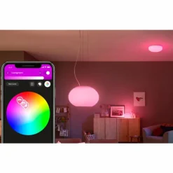 Luminaires Philips Suspension Philips Hue Ambiance White & Color Flourish LED Blanc, 1 lumière, Changeur de couleurs