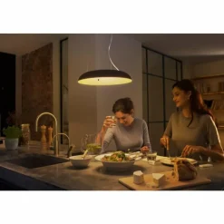 Luminaires Philips Suspension Philips Hue Amaze LED Noir, 1 lumière, Télécommandes