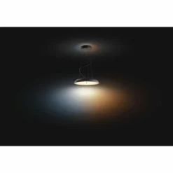 Luminaires Philips Suspension Philips Hue Amaze LED Noir, 1 lumière, Télécommandes