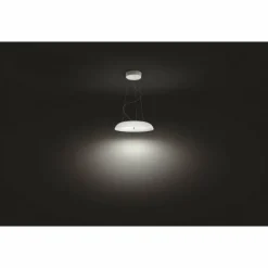 Luminaires Philips Suspension Philips Hue Amaze LED Blanc, 1 lumière, Télécommandes