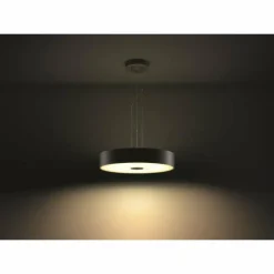 Luminaires Philips Suspension Philips Hue Fair LED Noir, 1 lumière, Télécommandes