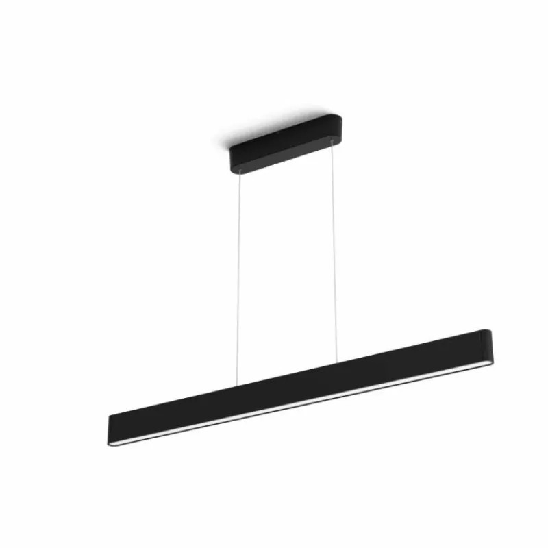 Luminaires Philips Suspension Philips Hue White & Color Ambiance Ensis LED Noir, 2 lumières, Changeur de couleurs