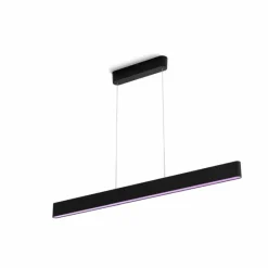 Luminaires Philips Suspension Philips Hue White & Color Ambiance Ensis LED Noir, 2 lumières, Changeur de couleurs
