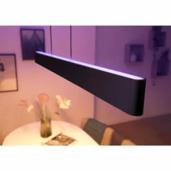 Luminaires Philips Suspension Philips Hue White & Color Ambiance Ensis LED Noir, 2 lumières, Changeur de couleurs