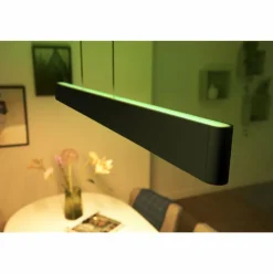 Luminaires Philips Suspension Philips Hue White & Color Ambiance Ensis LED Noir, 2 lumières, Changeur de couleurs
