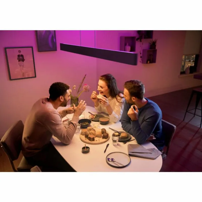 Luminaires Philips Suspension Philips Hue White & Color Ambiance Ensis LED Noir, 2 lumières, Changeur de couleurs