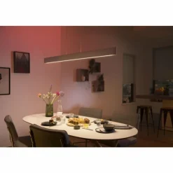 Luminaires Philips Suspension Philips Hue White & Colour Ambiance Ensis LED Blanc, 2 lumières, Changeur de couleurs