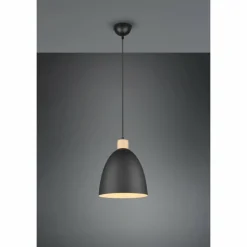 Luminaires Reality Suspension Reality Jagger Noir, 1 lumière* Suspensions