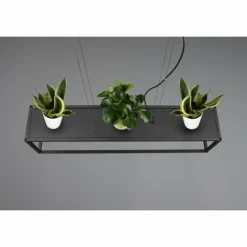 Luminaires Reality Suspension Reality Vito Noir, 4 lumières* Suspensions