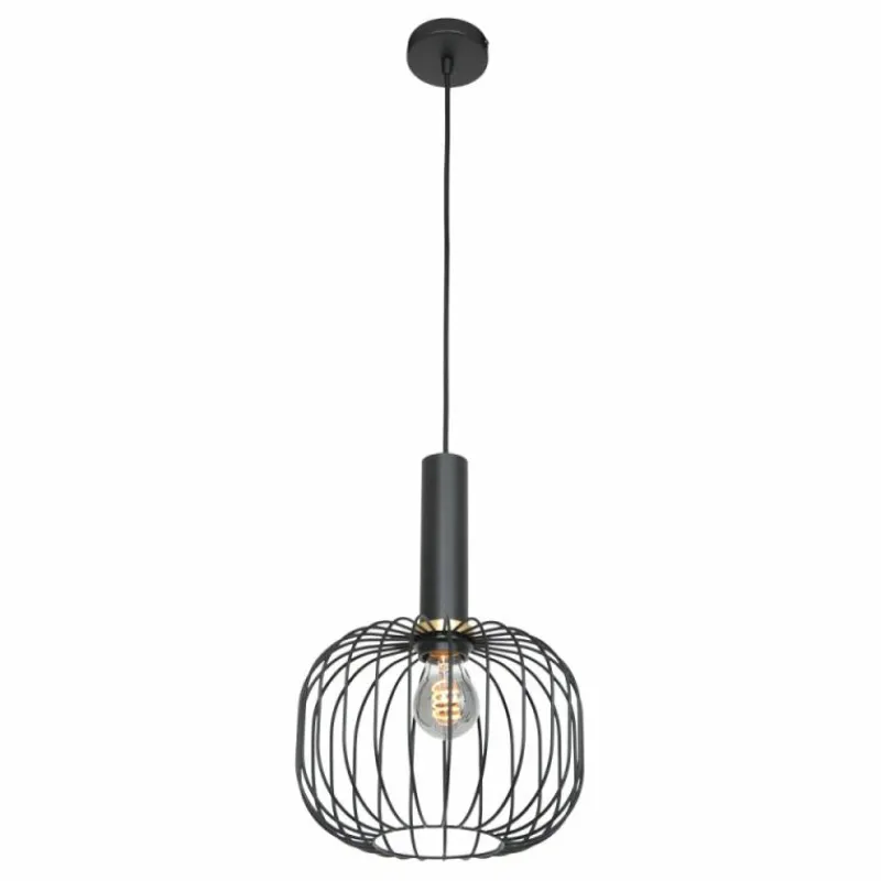 Lampes Dorées-Luminaires Steinhauer Suspension Steinhauer Aureole Noir, 1 lumière