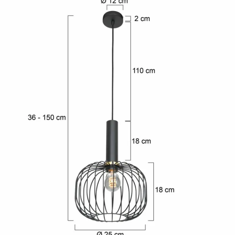 Lampes Dorées-Luminaires Steinhauer Suspension Steinhauer Aureole Noir, 1 lumière