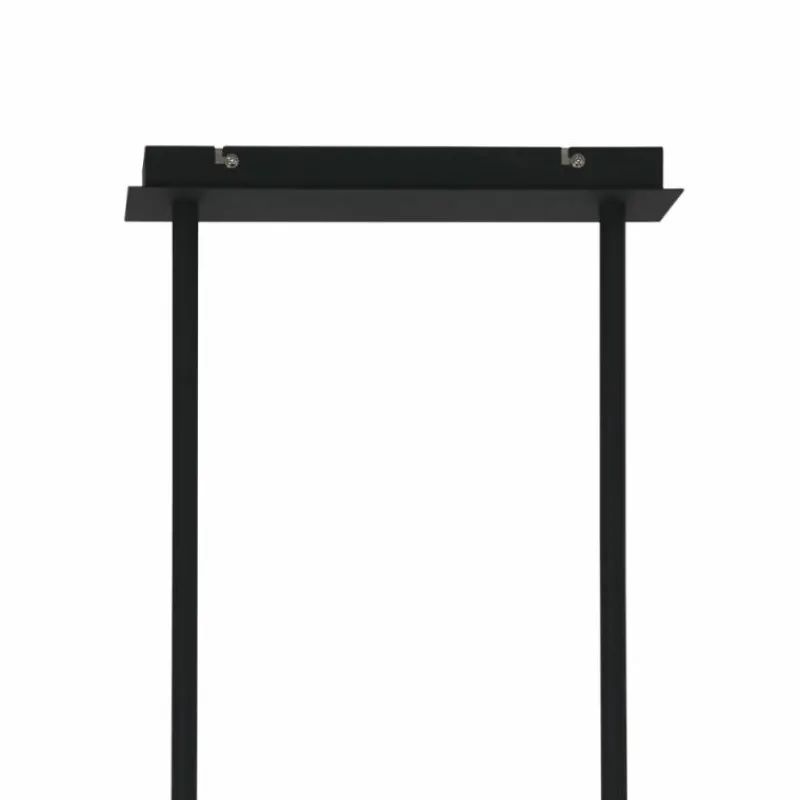 Lampes Dorées-Luminaires Steinhauer Suspension Steinhauer Evy Or, Noir, 2 lumières