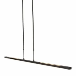 Luminaires Steinhauer Suspension Steinhauer Zelena LED Noir, 1 lumière* Éclairage Led