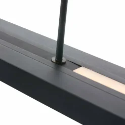 Luminaires Steinhauer Suspension Steinhauer Zelena LED Noir, 1 lumière* Éclairage Led