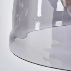 Suspension Verre Fumé-hofstein Suspension Trejos Laiton, Noir, 1 lumière