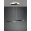 Luminaires Trio Suspension Trio Belfast LED Noir, 1 lumière* Éclairage Led