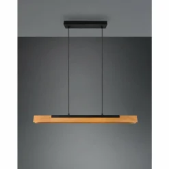 Lampes Vintages & Rétros-Luminaires Trio Suspension Trio Kerala LED Noir, 1 lumière