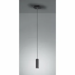Luminaires Trio Suspension Trio Leuchten MARLEY Noir, 1 lumière* Suspensions