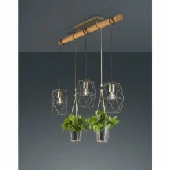 Luminaires Trio Suspension Trio Plant LED Brun foncé, Nickel mat, 3 lumières