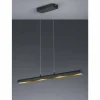 Luminaires Trio Suspension Trio RAMIRO LED Noir, 4 lumières* Suspensions