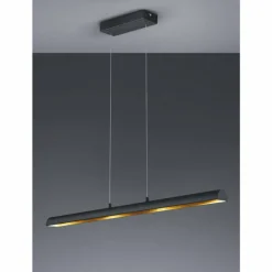 Luminaires Trio Suspension Trio RAMIRO LED Noir, 4 lumières* Suspensions