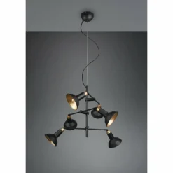 Luminaires Trio Suspension Trio Roxie Laiton, Noir, 6 lumières* Suspensions