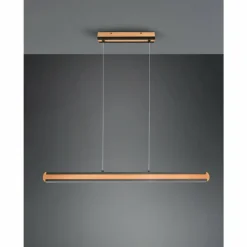 Lampes En Bois-Luminaires Trio Suspension Trio-Leuchten Deacon LED, 1 lumière
