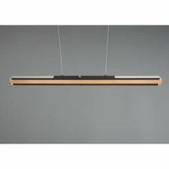 Lampes En Bois-Luminaires Trio Suspension Trio-Leuchten Deacon LED, 1 lumière