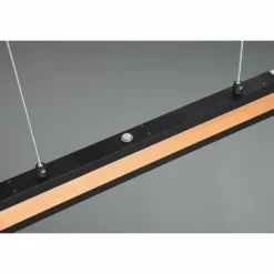 Lampes En Bois-Luminaires Trio Suspension Trio-Leuchten Deacon LED, 1 lumière