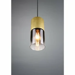 Suspension Verre Fumé-Luminaires Trio Suspension Trio-Leuchten Robin Laiton, 1 lumière