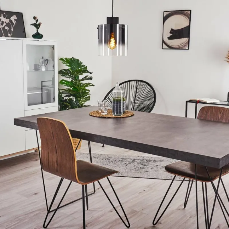 hofstein Suspension Wichita Fumée, Noir, 1 lumière