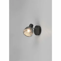 Suspension Verre Fumé-Luminaires Trio Tarifa Spot de plafond Noir, 1 lumière