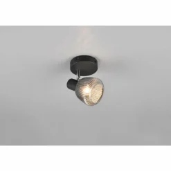 Suspension Verre Fumé-Luminaires Trio Tarifa Spot de plafond Noir, 1 lumière