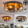 hofstein Tourais Plafonnier, Ventilateur de plafond lumineux LED Couleur bois, Noir, 4 lumières, Télécommandes
